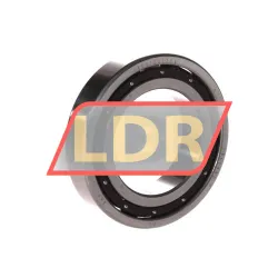 RHP 6009T CG12 P4