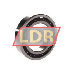 RHP 6009T CG12 P4 rulman resim 2