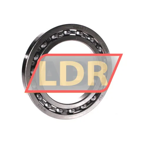 SKF 16019/C3
