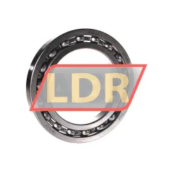 SKF 16019/C3