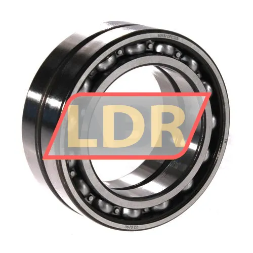 SKF 6013/DFC125