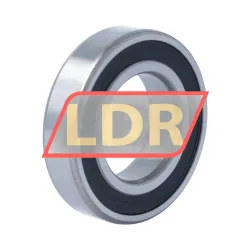 SKF 6006-2RZ/C3WT