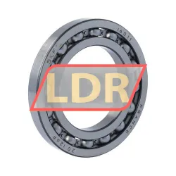 SKF 16011