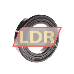 Timken 6011-ZZ-C3