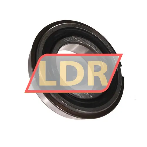 SKF 6006-2RS1NR/JEM