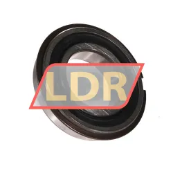 SKF 6006-2RS1NR/JEM