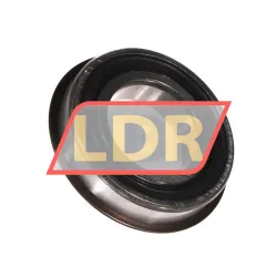 SKF 6006-2RS1NR/JEM rulman resim 2