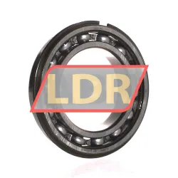 SKF 6012NR
