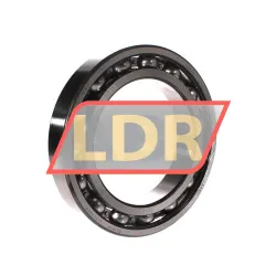 SKF 6026
