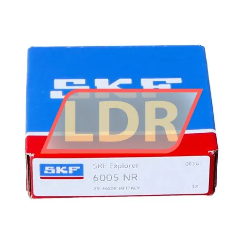 SKF 6005NR ürün fotoğrafı 3
