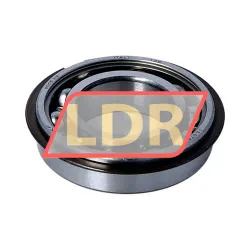 SKF 6005NR
