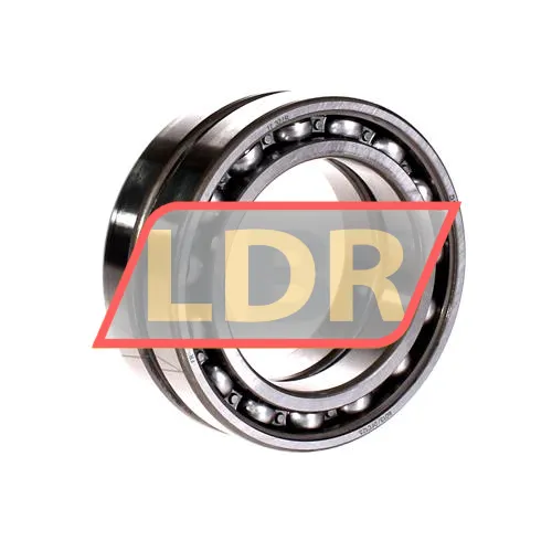 SKF 6013DFC125