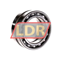 SKF 6013DFC125