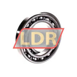 SKF 6013DFC125 rulman resim 3