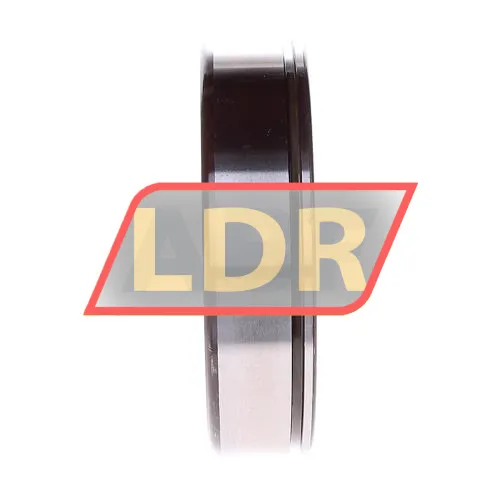 SKF 310NA/C3L ürün fotoğrafı 2