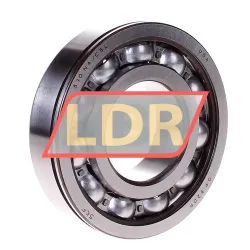 SKF 310NA/C3L