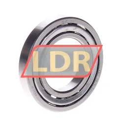 SKF EE11