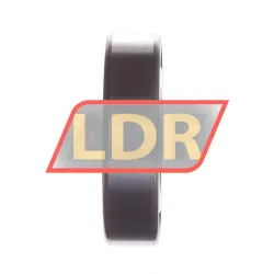 FAG 6005-S1-C3 rulman resim 2