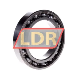 SKF 6013
