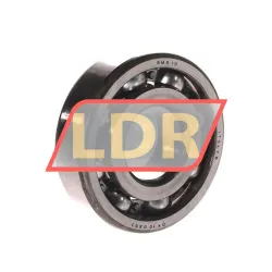 SKF RMS10