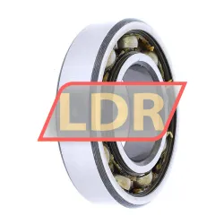 RHP 6208-2ZJ rulman resim 2