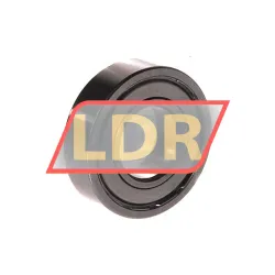 SKF 6002-Z/Y
