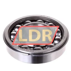SKF 310-ZNR