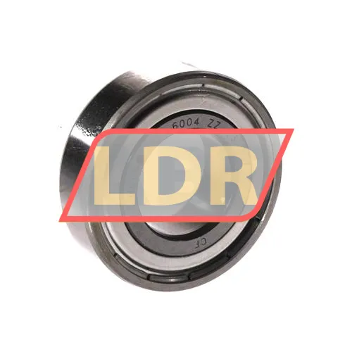 Timken 6004-ZZC3