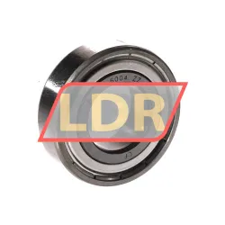 Timken 6004-ZZC3
