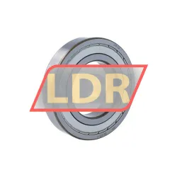 SKF 213-2Z