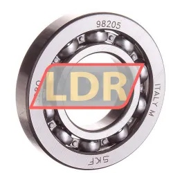 SKF 98205
