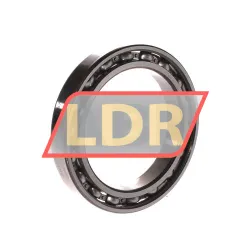 SKF 61915