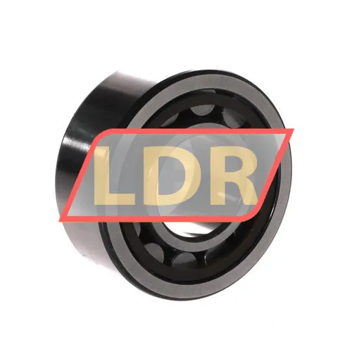 SKF 6004-Z/C3 ürün fotoğrafı 2
