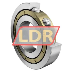 FAG 6017-M-S1-C4 rulman resim 4