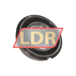 SKF 6007-2RS1NR