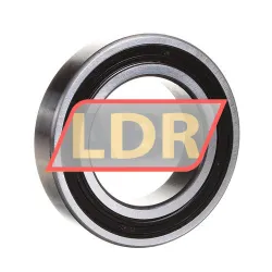 SKF 6009-2RS1/WT