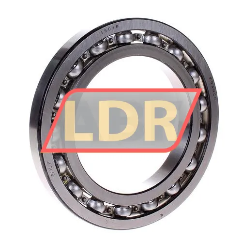SKF 16018