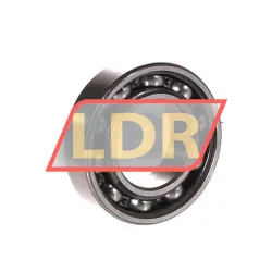 SKF 6005-RS1/QE6