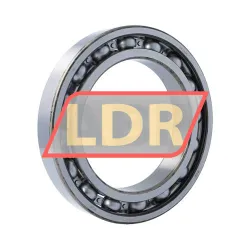 SKF 6028