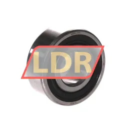 SKF 6224-2RS1