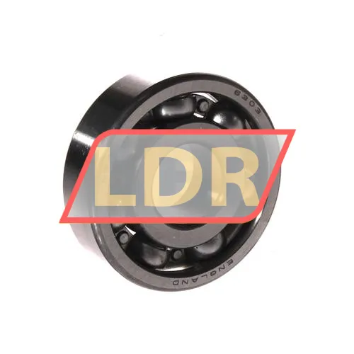 SKF 6303N