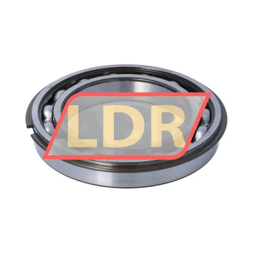 SKF 6020NR