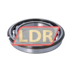 SKF 6020NR