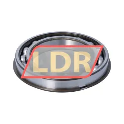 SKF 6020NR rulman resim 2
