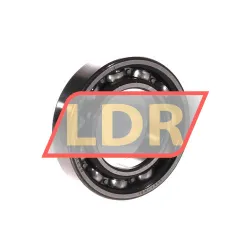 SKF 6006-RS1