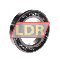 Timken 6010