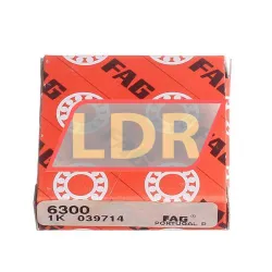 FAG 6300 rulman resim 3
