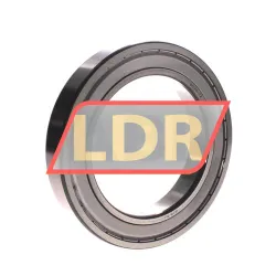 Timken 6020-ZZ