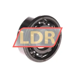 SKF RLS6
