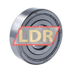 SKF 6306-2Z/C4WT